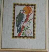 Borduurpatroon Vogel Specht  nr 5639, Verzenden, Nieuw, Handborduren, Patroon