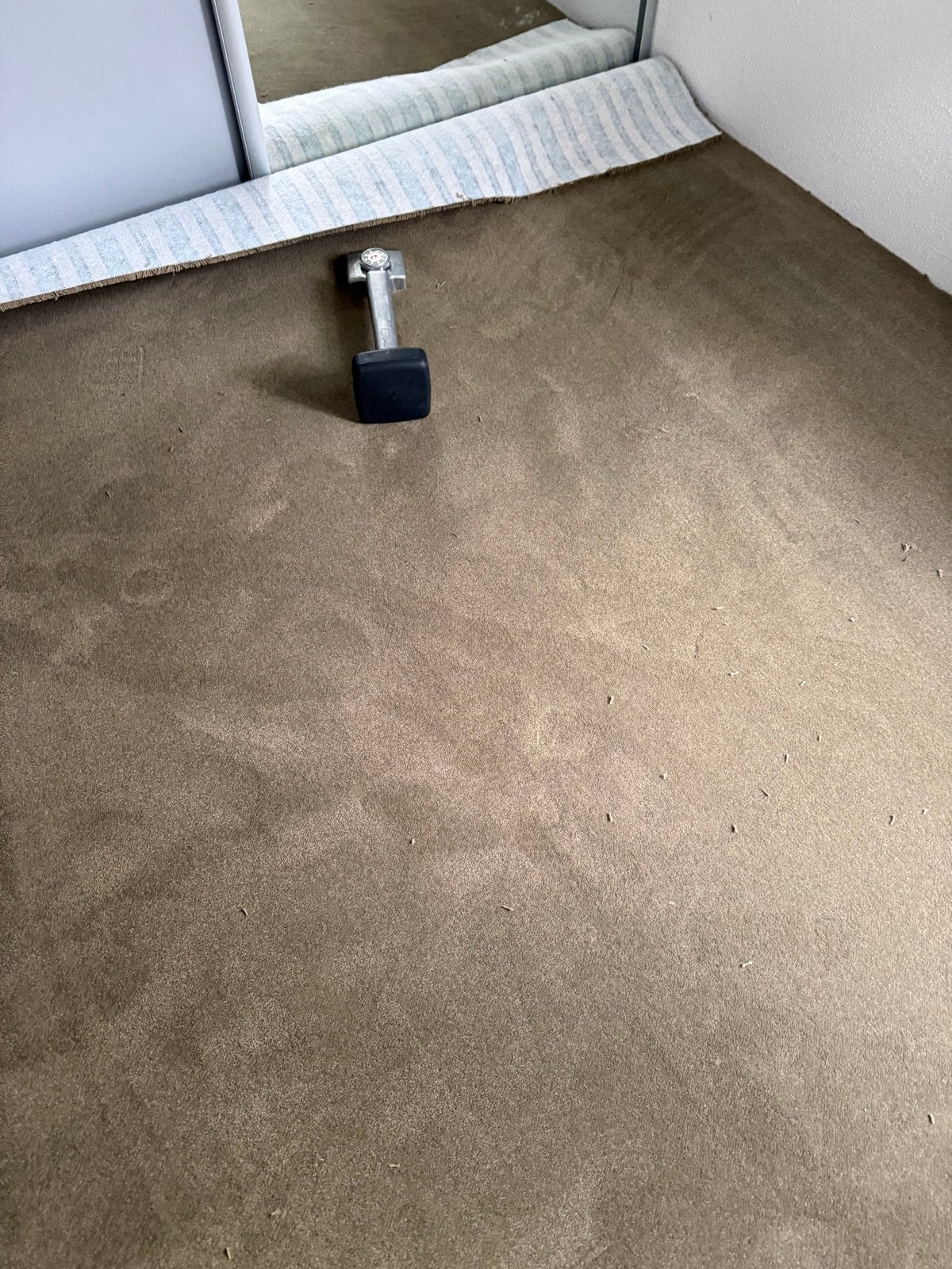 Nieuw Coupon Bruin Tapijt op Rol 14x4m - Direct Leverbaar, Ophalen, Nieuw, Bruin, 200 cm of meer