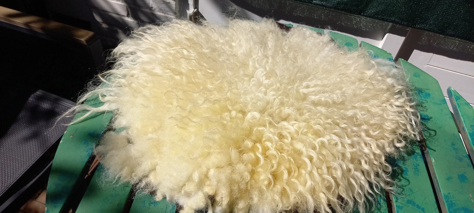 Gevilte ronde schapenvacht, Poll Dorset, doorsnede 50 cm., Verzenden, Nieuw
