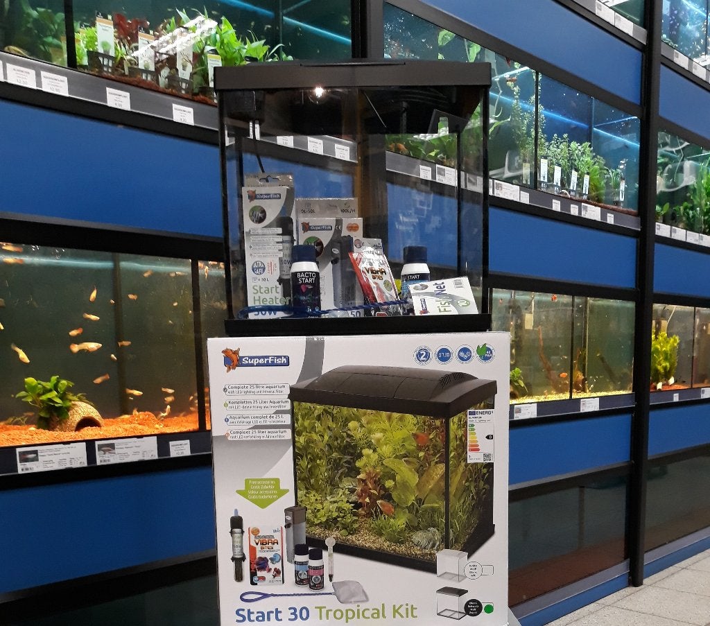 Compleet aquarium met alle basisbenodigdheden vis en planten, Ophalen, Nieuw, Gevuld zoetwateraquarium