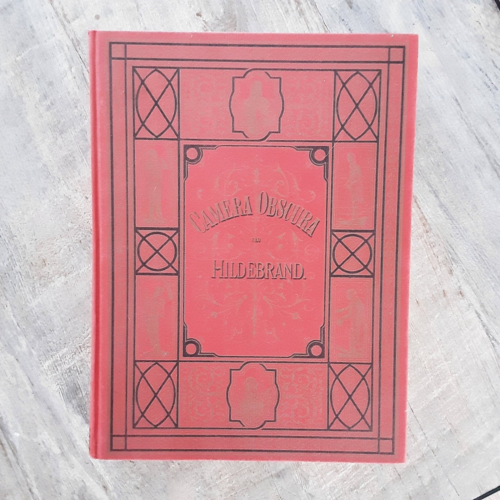 Camera Obscura - Hildebrand (Nicolaas Beets), Boeken, Literatuur, Ophalen, Gelezen, Hildebrand (Nicolaas Beets), Nederland
