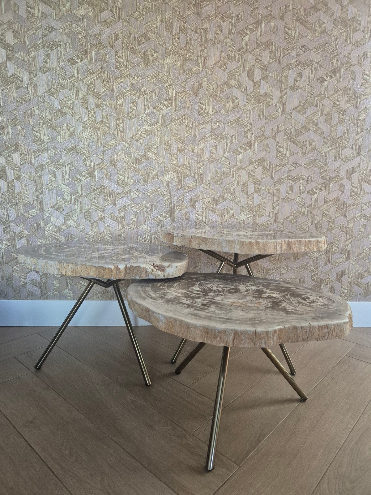 PTMD Versteend hout salontafel set van 3, Gebruikt, 50 tot 100 cm, Rond, 50 tot 100 cm
