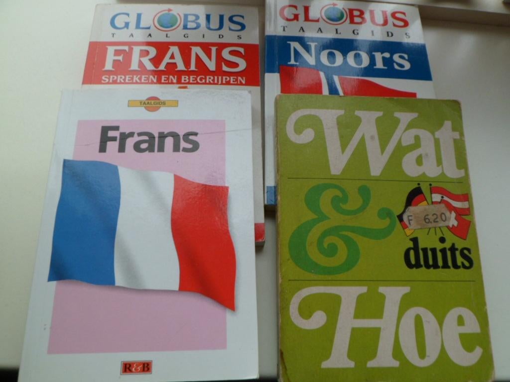 Diverse taalgidsen Frans & Duits ( Noors is verkocht ️), Boeken, Ophalen of Verzenden, Zo goed als nieuw, Van Dale, Overige talen