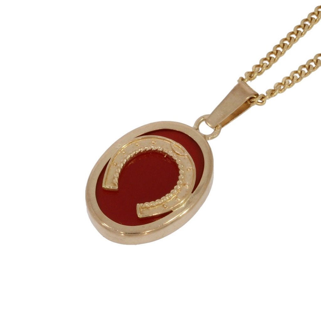 Hoefijzer paard carneool 14k gouden ketting hanger fraai, Voordeelsieraden, Ophalen of Verzenden, Zo goed als nieuw, Met edelsteen