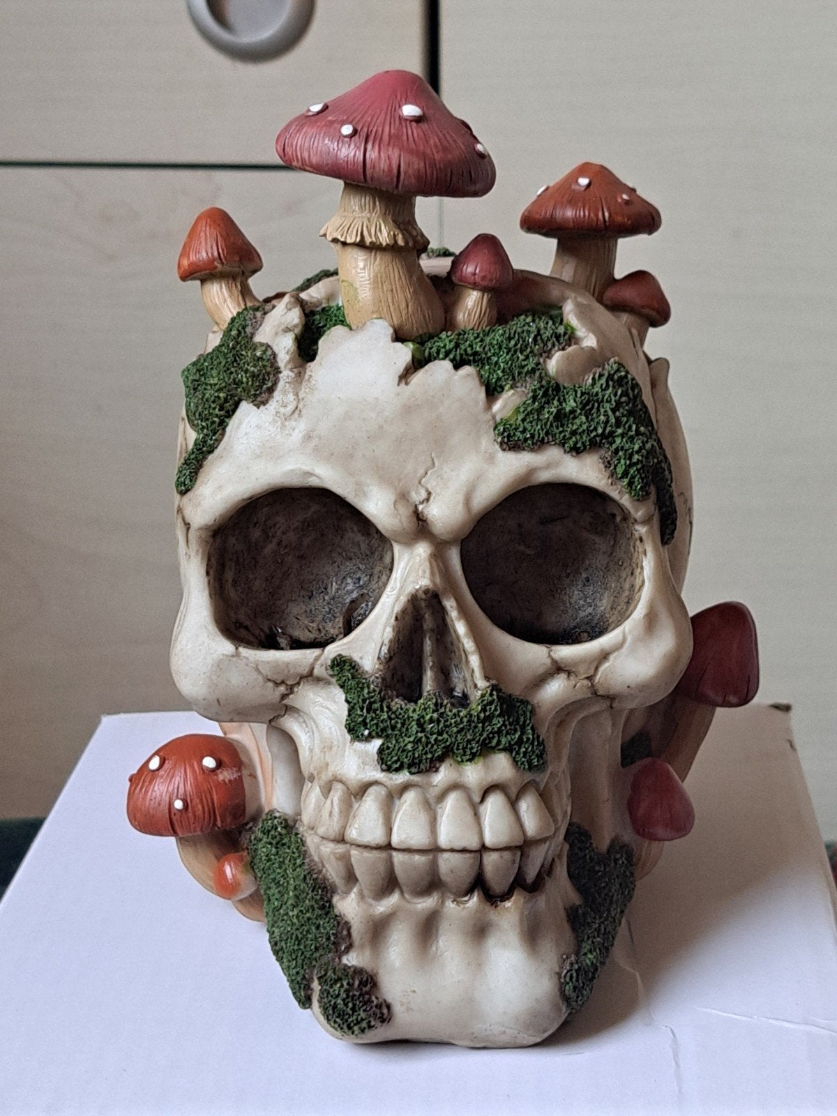 Nieuw Schedel met mos en paddestoelen, Ophalen of Verzenden, Nieuw