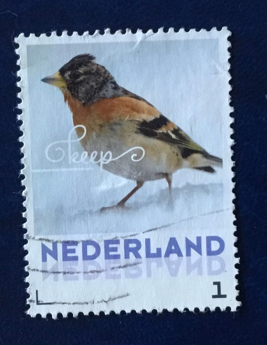 Persoonlijke Zegel kavel pz 152, Ophalen of Verzenden, Na 1940, Gestempeld