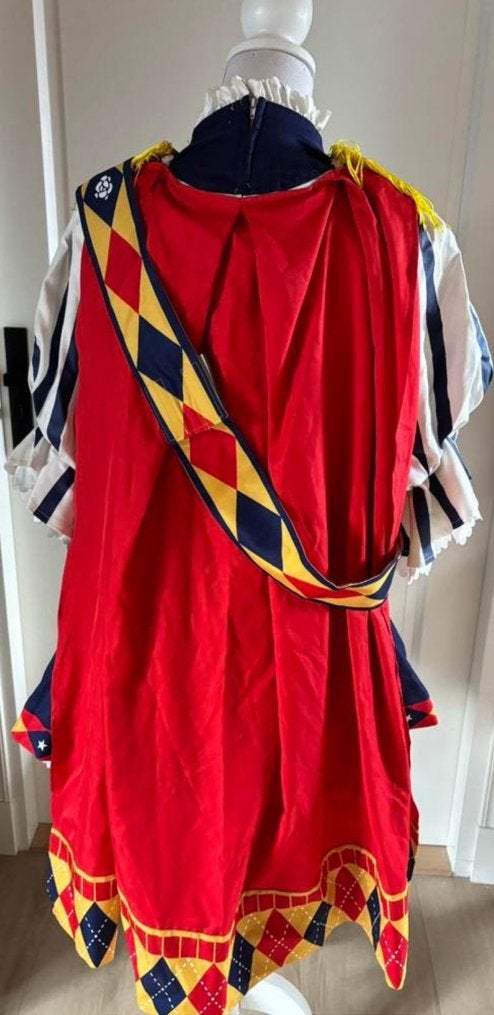 Cosplay, Ophalen of Verzenden, Gedragen