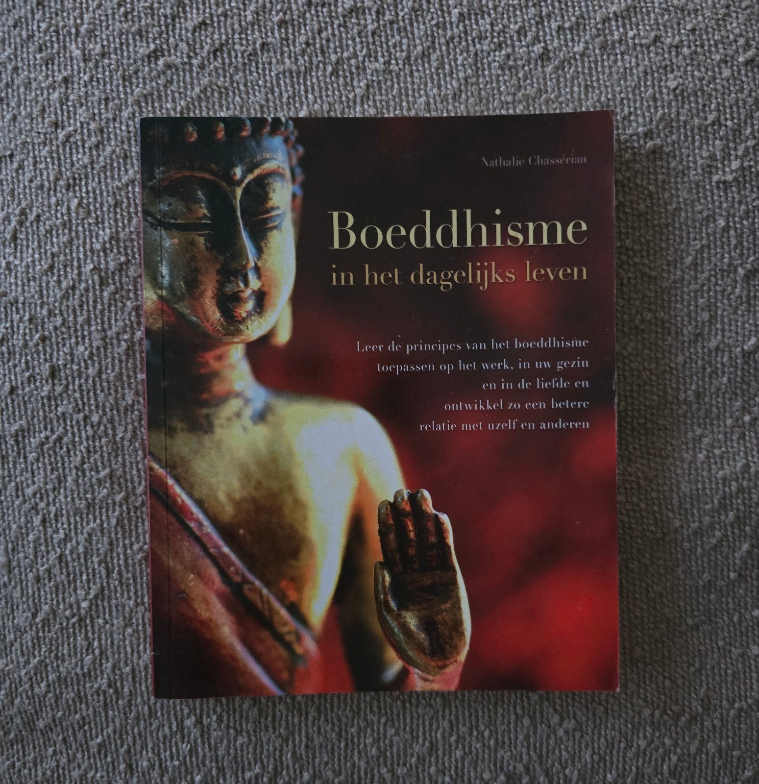 Boeddhisme in het dagelijks leven, Gelezen, Achtergrond en Informatie, Spiritualiteit algemeen, Nathalie Chassérian