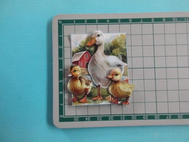y00140 Boerderij / eend / kuikentjes, Verzenden, Nieuw, Overige thema's, Overige typen