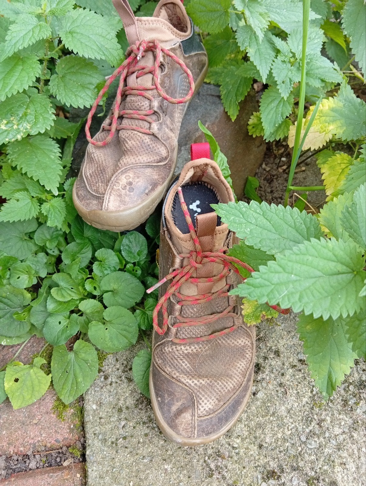 lage vivobarefoot wandelschoenen vivo barefoot, Ophalen, Bruin, Vivobarefoot, Wandelschoenen