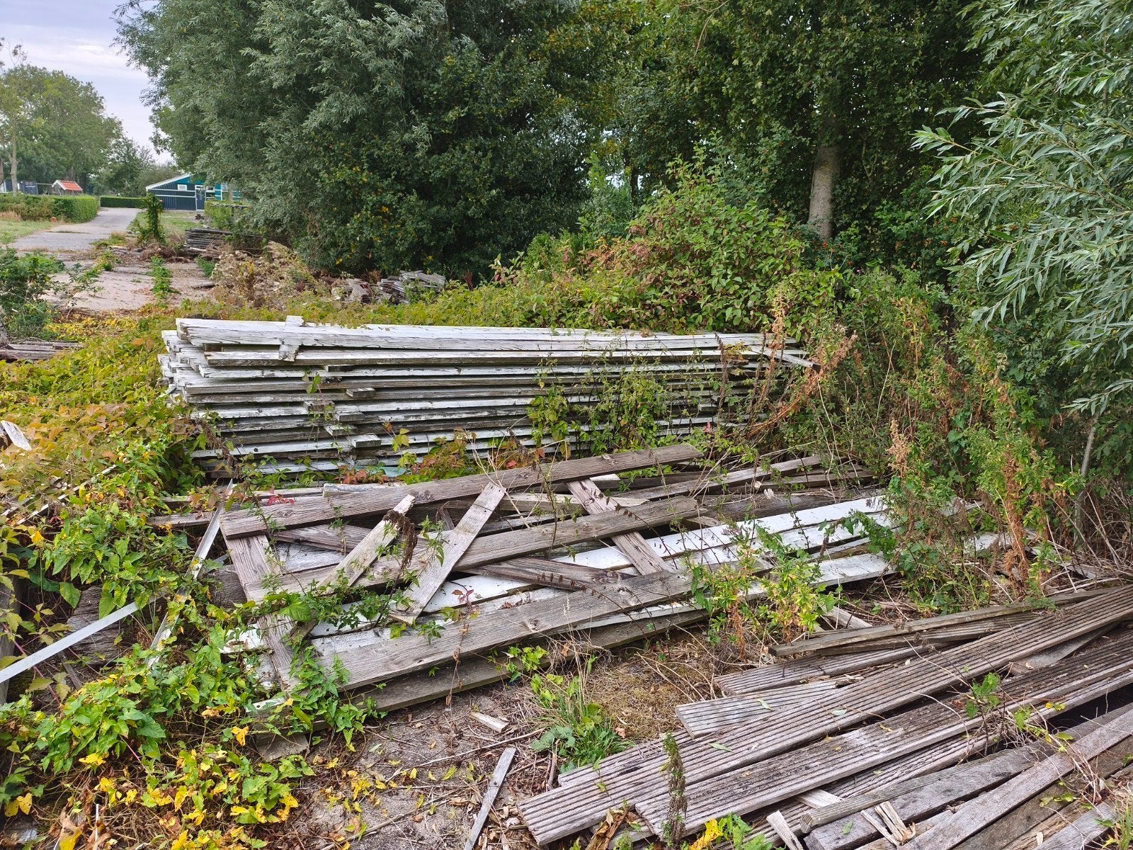 Geïmpregneerde planken 4.4m, Gebruikt, 25 tot 50 mm, Plank, 300 cm of meer