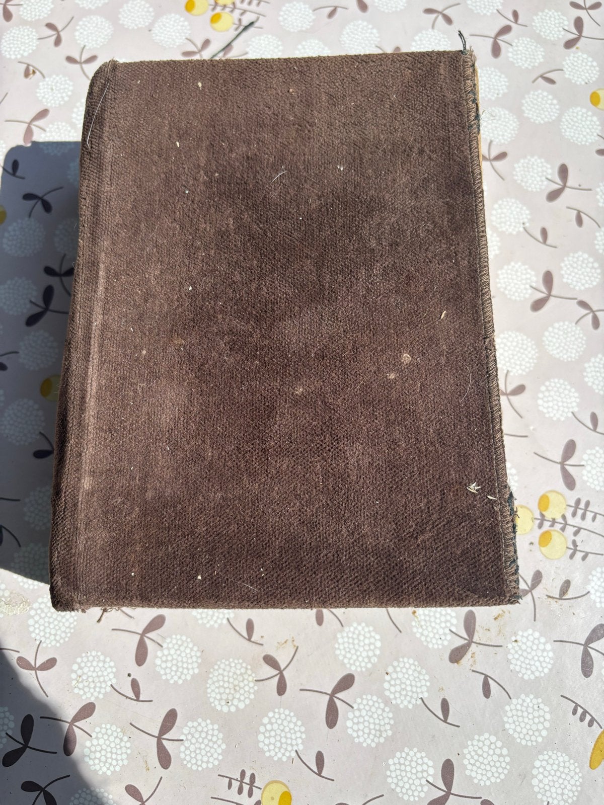 Petit Larousse Illustré 1981 - Encyclopedisch Woordenboek, Ophalen of Verzenden, Gelezen, Algemeen, Los deel