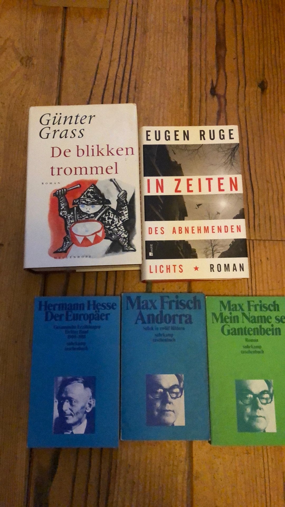 Duitse boeken: Günter Grass, Eugen Ruge, Hermann Hesse, Max, Boeken, Ophalen of Verzenden, Gelezen, Europa overig