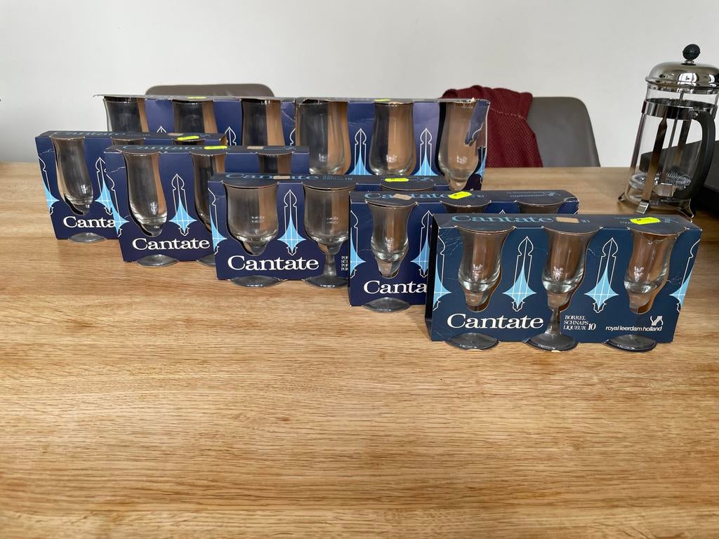 Royal leerdam Cantate glazenset, Glas of Glazen, Ophalen of Verzenden, Overige stijlen, Glas