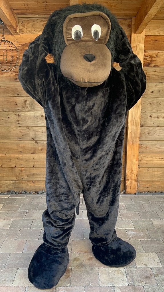 Huur kleding of mascotte pakken bij ons voor leuke prijs 25, Hobby en Vrije tijd, Feestartikelen | Verhuur, Ophalen of Verzenden