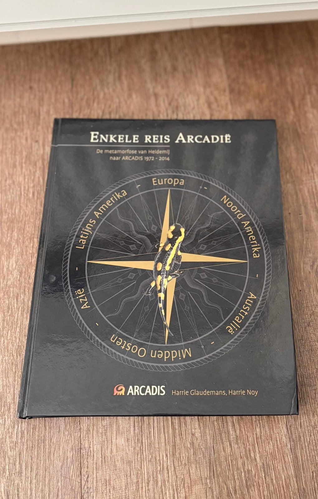 Enkele reis Arcadië boek, Boeken, Ophalen of Verzenden, Zo goed als nieuw