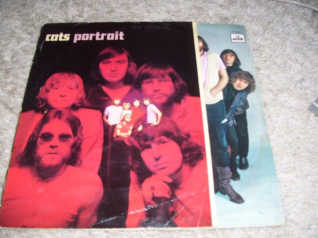 THE CATS, Cd's en Dvd's, Vinyl | Pop, LP, Pop, Zo goed als nieuw, Inclusief binnenhoes