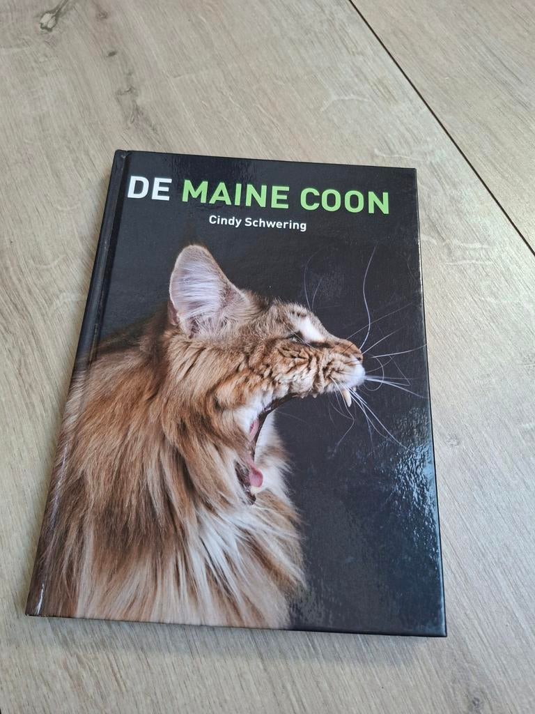 De Maine Coon - Boek over kattenras door Cindy Schwering, Ophalen of Verzenden, Zo goed als nieuw, Katten, Cindy Schwering