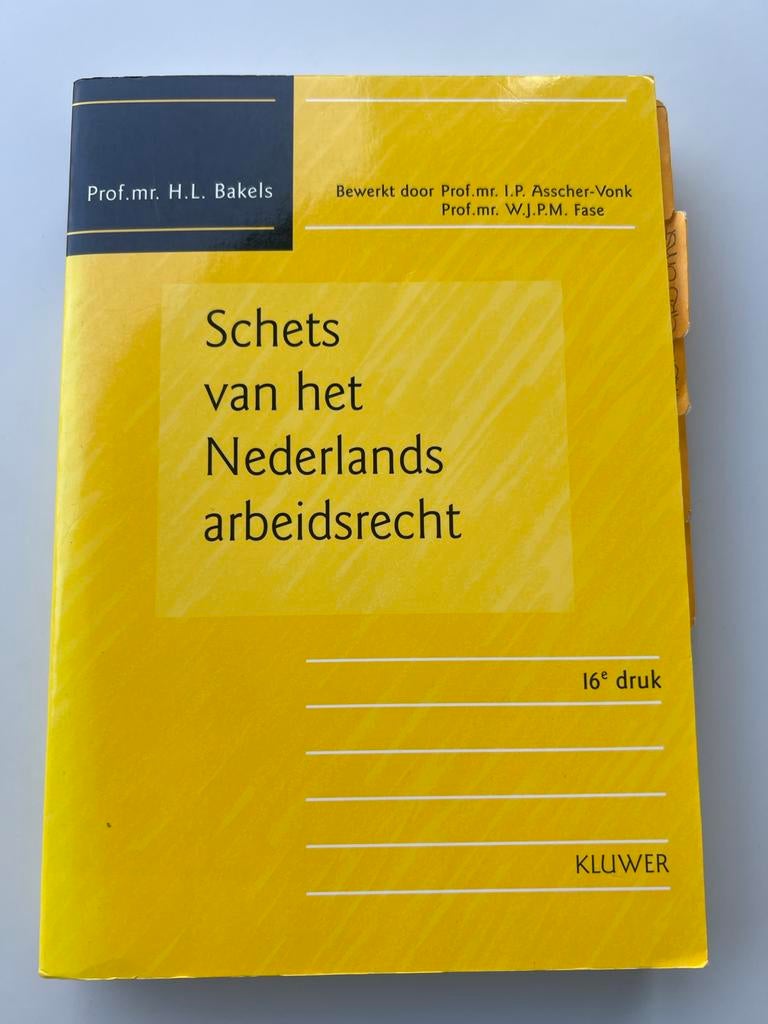 Schets van het Nederlands arbeidsrecht - 16e druk, Boeken, Ophalen of Verzenden, Gamma, Gelezen, WO