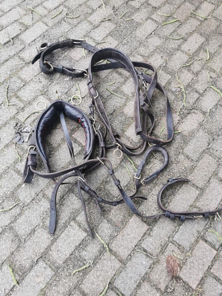 Paardentuig, Ophalen, Overige soorten