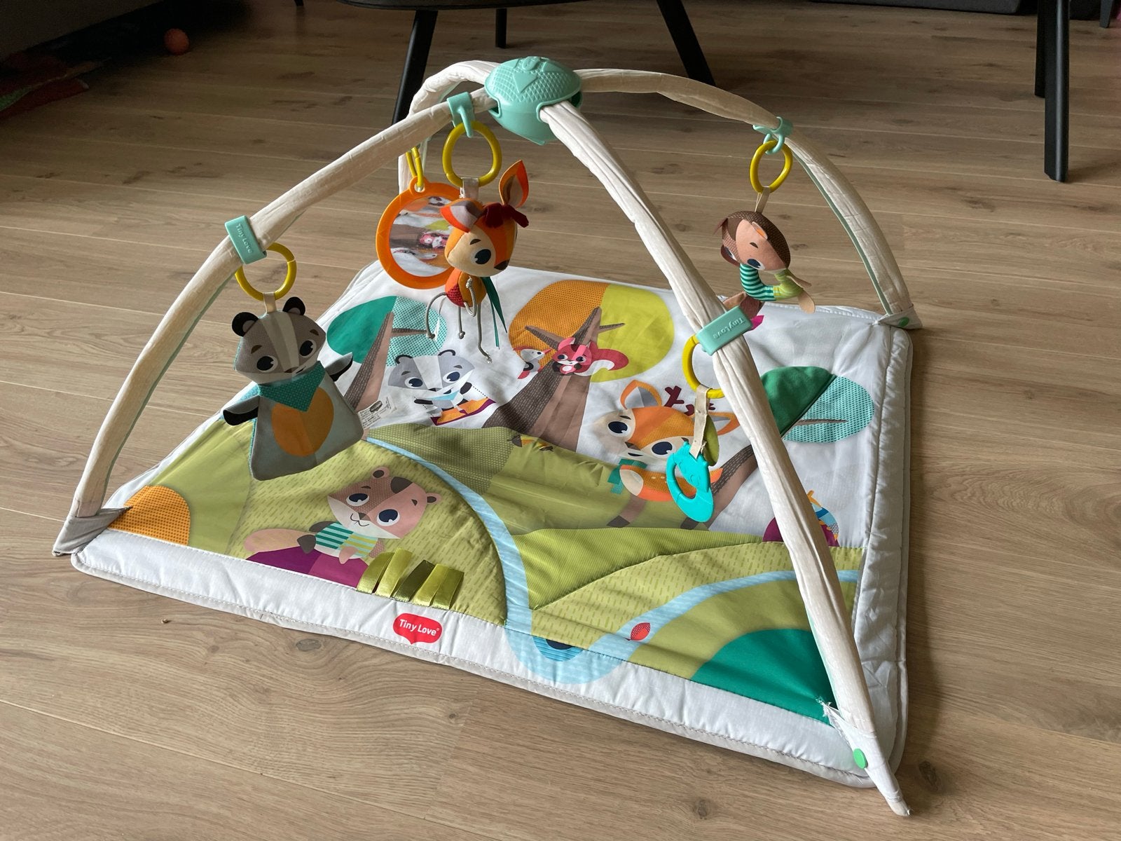 Tiny Love Speelkleed met Babygym - Bosdieren Thema, Kinderen en Baby's, Speelgoed | Babyspeelgoed, Zo goed als nieuw, Speelkleed