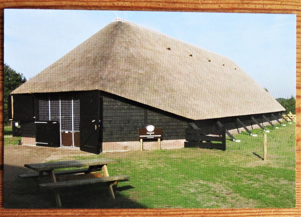 Ermelo: Schaapskooi Schapedrift, Ophalen of Verzenden, Voor 1920, Noord-Brabant