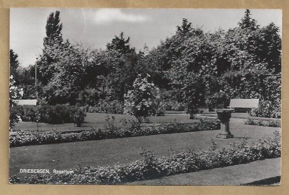 Oude ansichtkaart Driebergen Rosarium - Gelopen, Ophalen of Verzenden, 1940 tot 1960, Gelopen, Utrecht