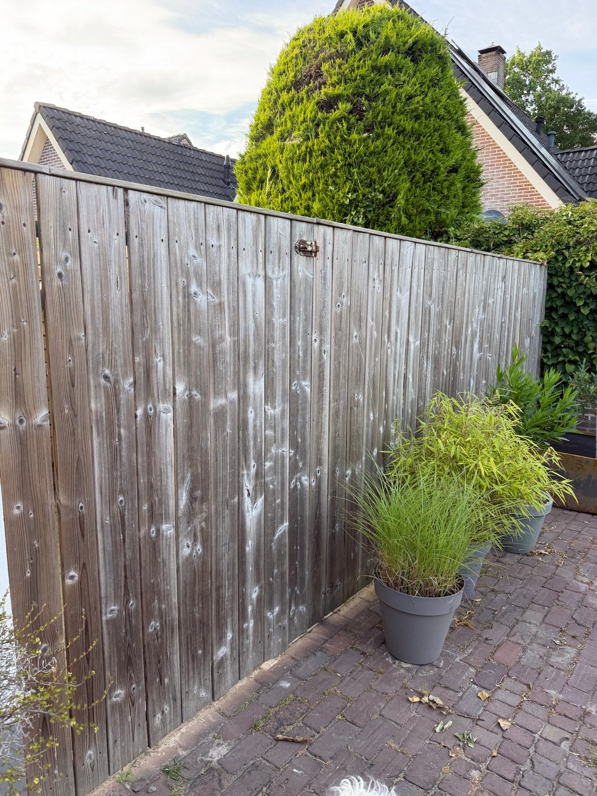 Schutting op wielen - verrijdbare tuinafscheiding, Ophalen, 3 tot 6 meter, Hout, 1 tot 2 meter