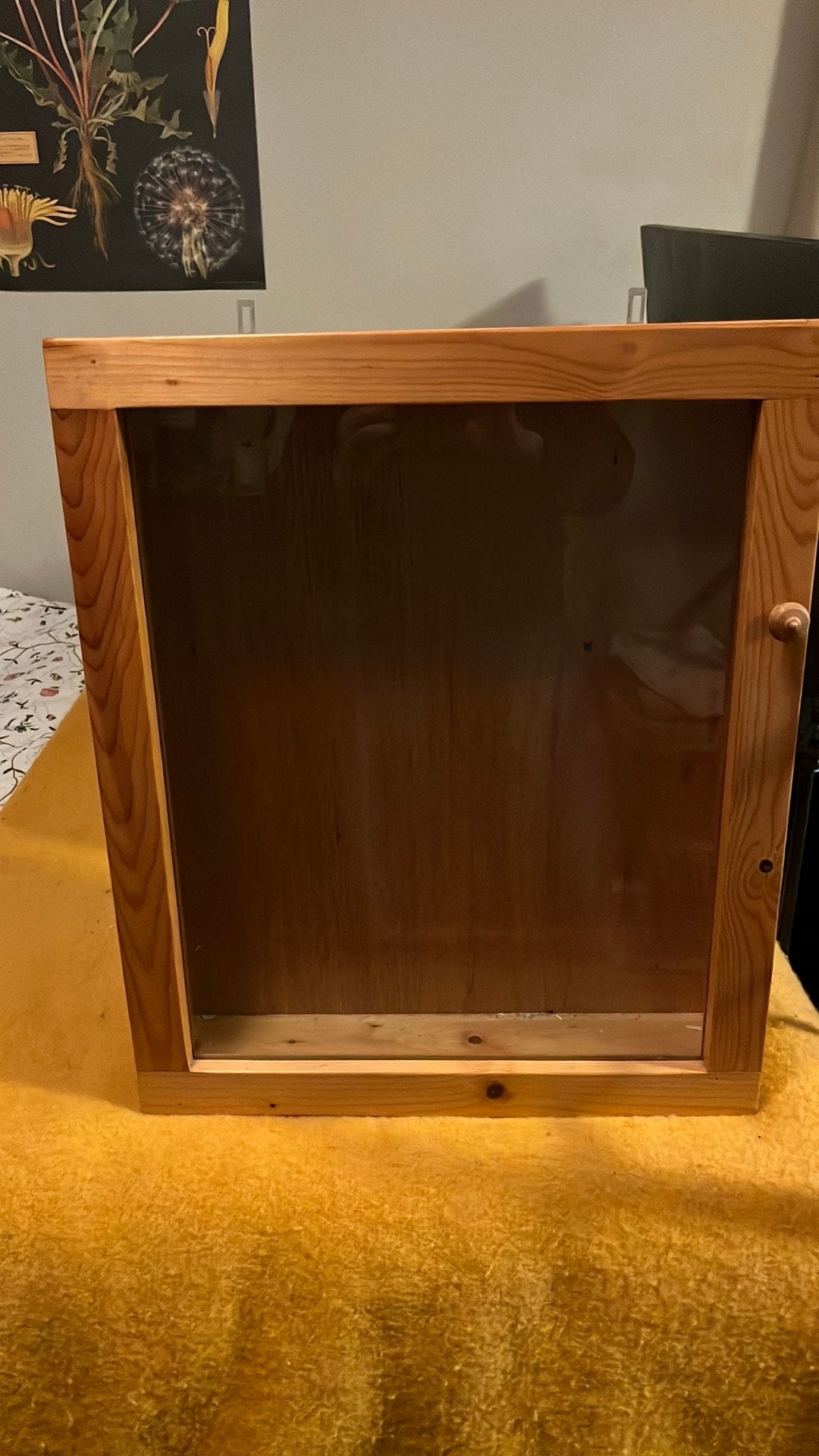 Vitrinekastje, Huis en Inrichting, Ophalen, Gebruikt, 50 tot 100 cm, Minder dan 100 cm