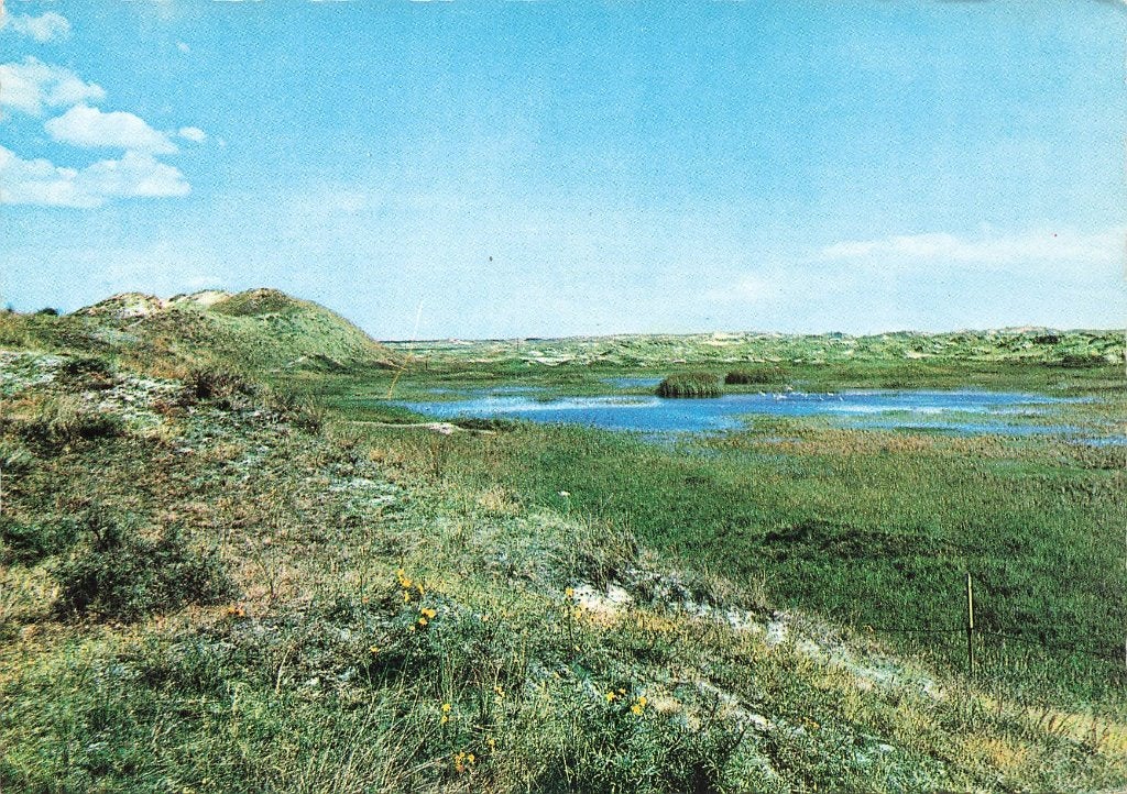Terschelling, Duinmeertje, Ophalen of Verzenden, 1960 tot 1980, Ongelopen, Waddeneilanden