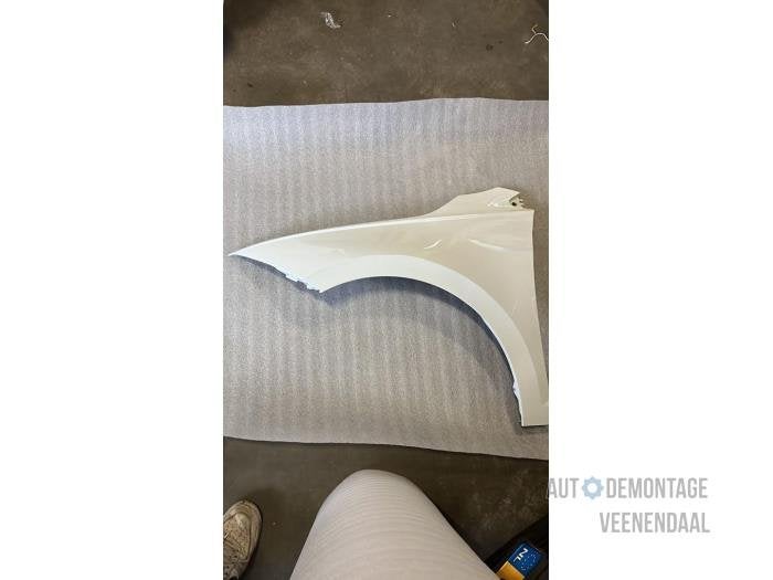Scherm links-voor van een Volkswagen Polo (LC9A), -, Volkswagen, -, Nieuw
