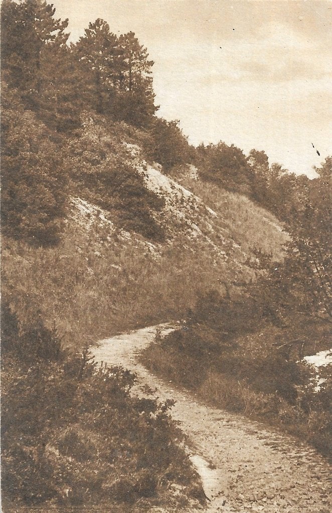 AK Schoorl - De Klimweg in de Duinen, Verzenden, Voor 1920, Ongelopen, Noord-Holland
