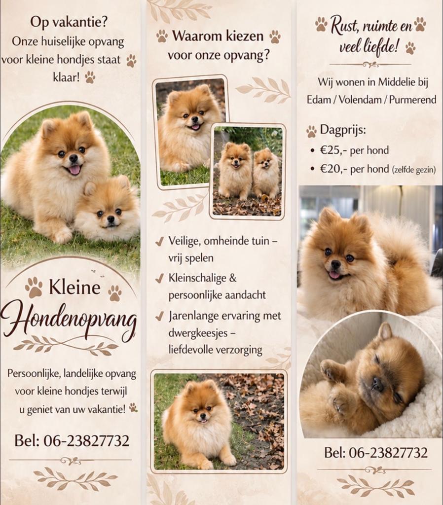 Honden opvang vakantie