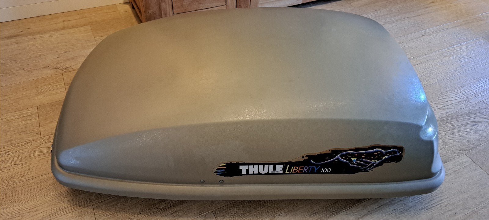 Thule Liberty 100 Dakkoffer - Functioneert Uitstekend, Auto diversen, Dakkoffers, Ophalen, Gebruikt