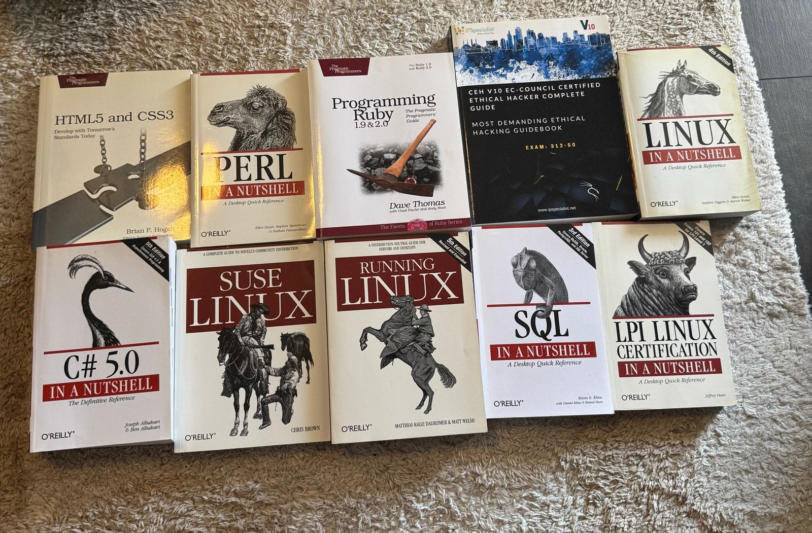 IT Boekenpakket: Programmeren, Linux, SQL, Hacking, Boeken, Informatica en Computer, Ophalen, Gelezen, Besturingssystemen