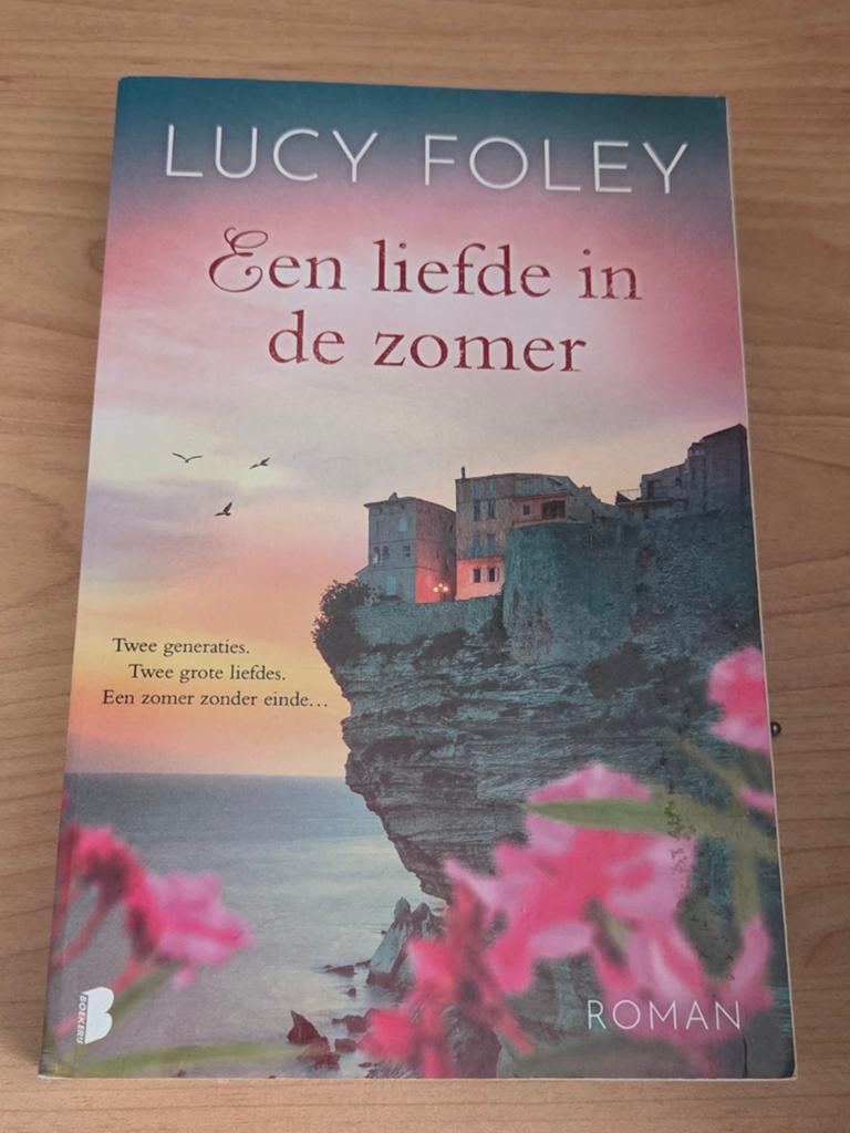 Een liefde in de zomer, Lucy Foley , gelezen, Ophalen of Verzenden, Gelezen