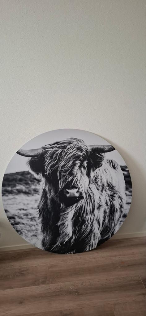 Muurcirkel Schotse Hooglander.  100 cm doorsnede, Huis en Inrichting, Woonaccessoires | Wanddecoraties, Ophalen of Verzenden, Zo goed als nieuw