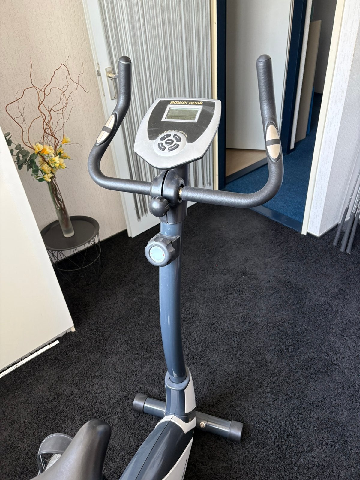 Home trainer, Sport en Fitness, Ophalen, Zo goed als nieuw, Rug, Hometrainer