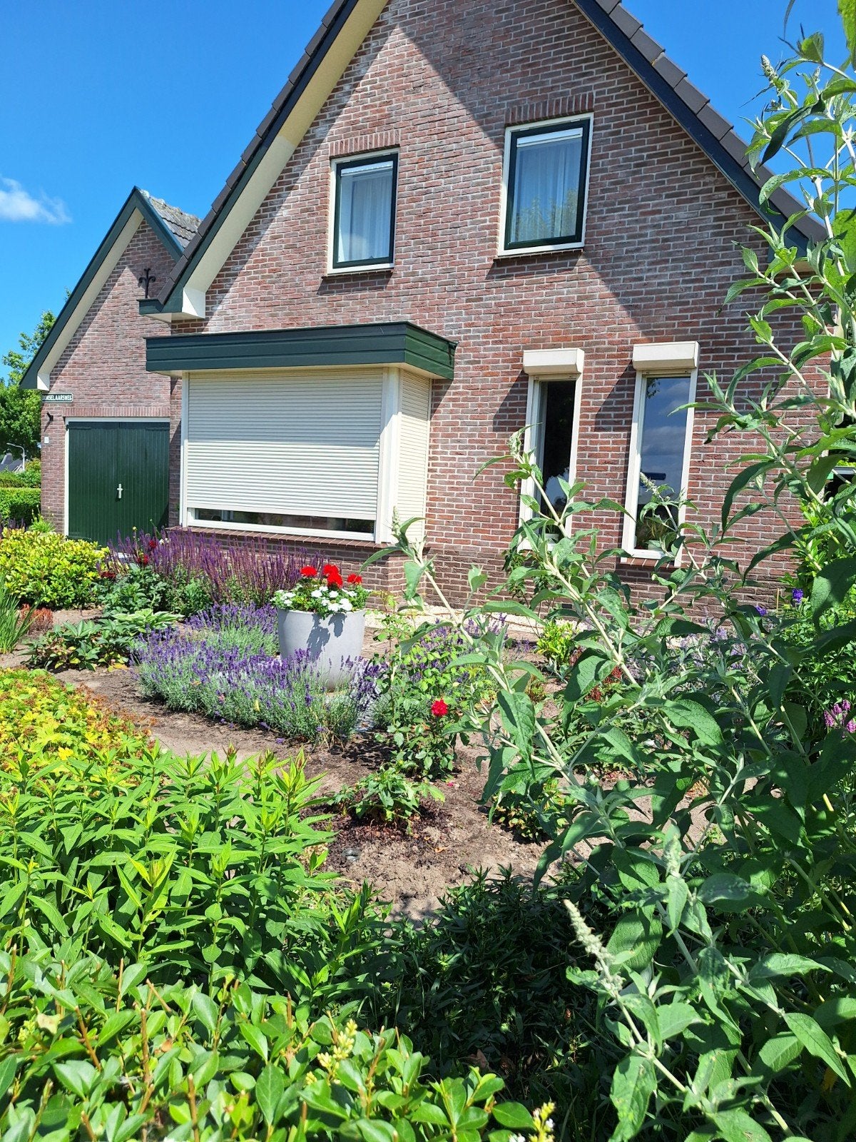 instapklare, toekomst bestendige woning te koop, 200 tot 500 m², Gelderland, Vrijstaande woning, Oene gem. Epe