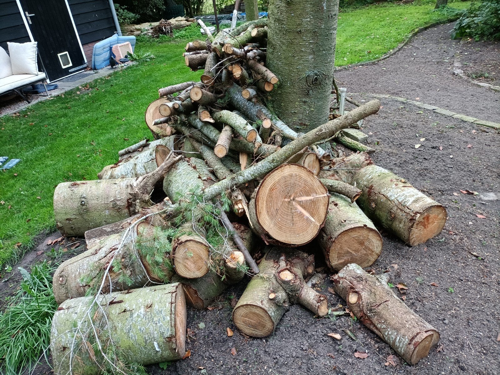 Brandhout kachelhout haardhout dennen hout, Ophalen