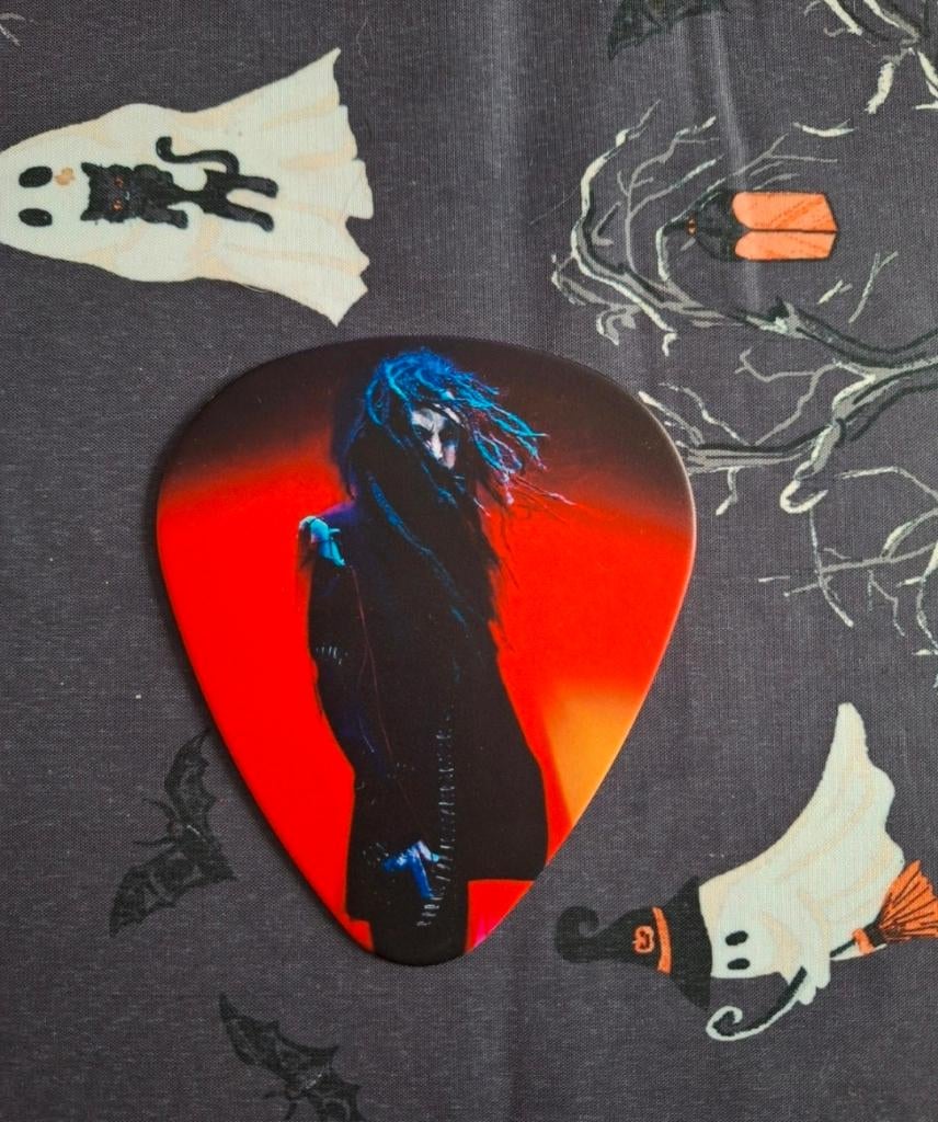 Korn jumbo guitar pick, Muziek en Instrumenten, Instrumenten | Onderdelen, Zo goed als nieuw, Akoestische gitaar, Ophalen of Verzenden