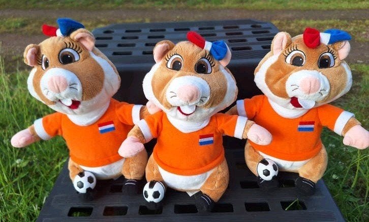 AH Voetbal Hamster Team nummer 8, Albert Heijn, Ophalen of Verzenden
