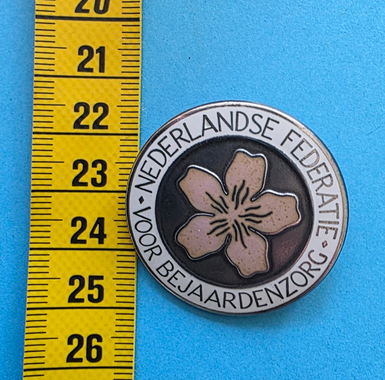 Verpleegster Bejaardenzorg speld,zelden aangeboden., Ophalen of Verzenden