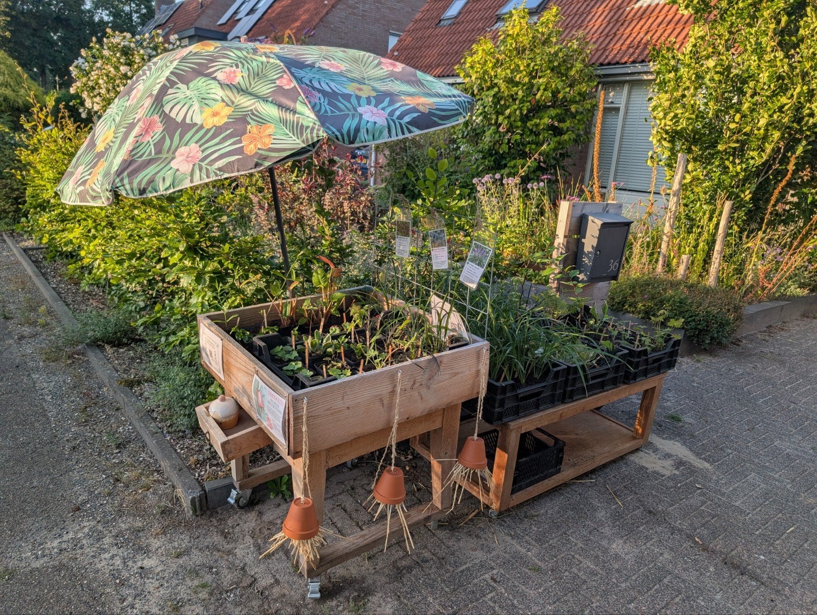 Plantentafels aan de weg met vaste planten voor €1,-, Tuin en Terras, Planten | Tuinplanten, Ophalen