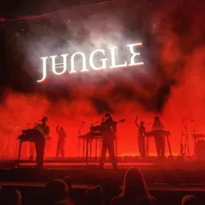 Gezocht! Twee staanplaats tickets voor Jungle in Ziggodome!, Twee personen, November