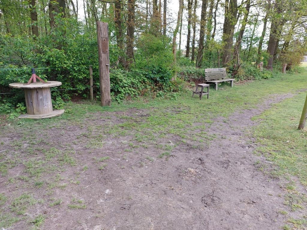 Paddock/ weidegang veldhoven, Weidegang