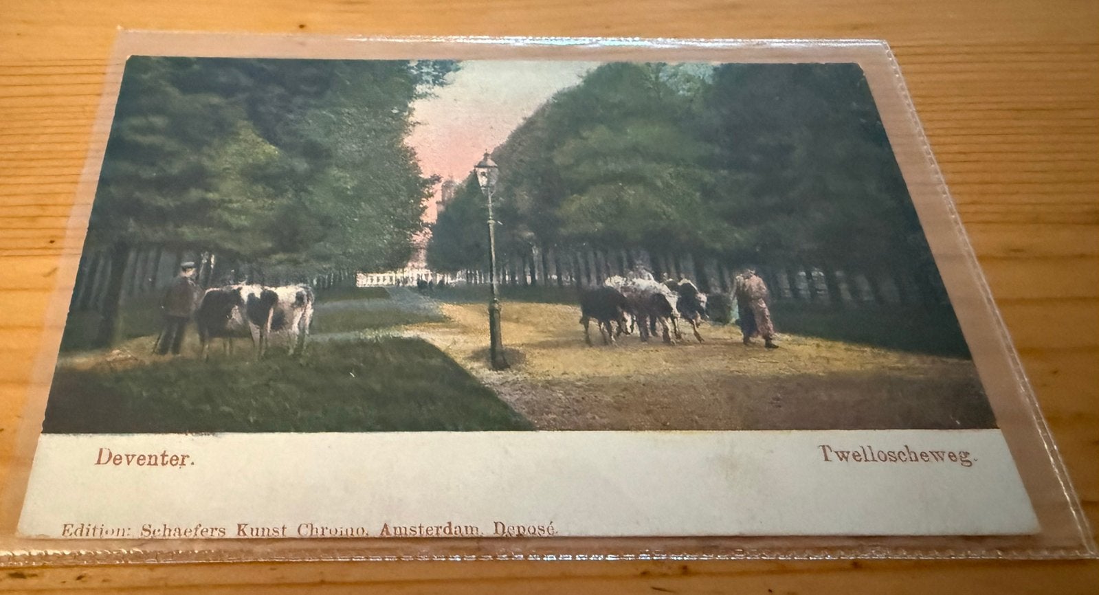 Ansichtkaart Deventer Twelloscheweg, Ophalen of Verzenden, Voor 1920, Overijssel