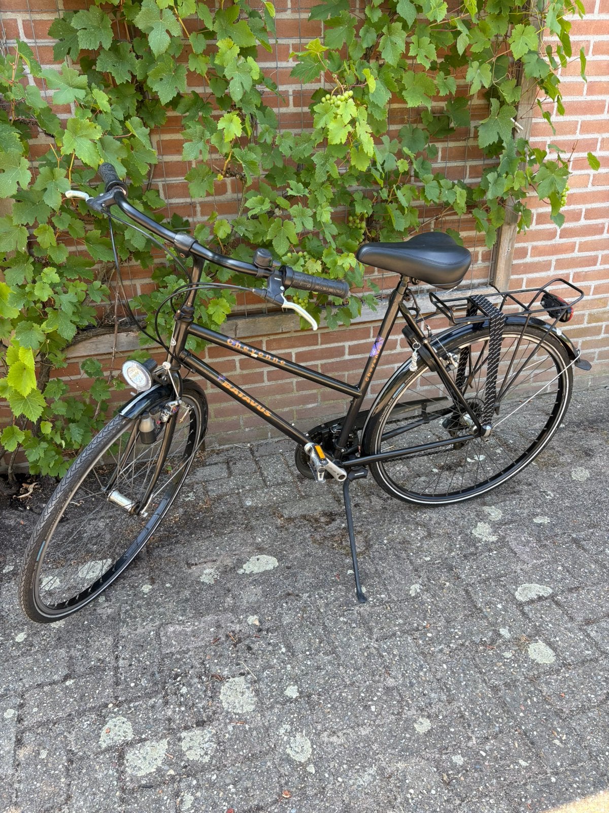 Batavus dames sportfiets, Ophalen, 28 inch, Gebruikt, Velgrem