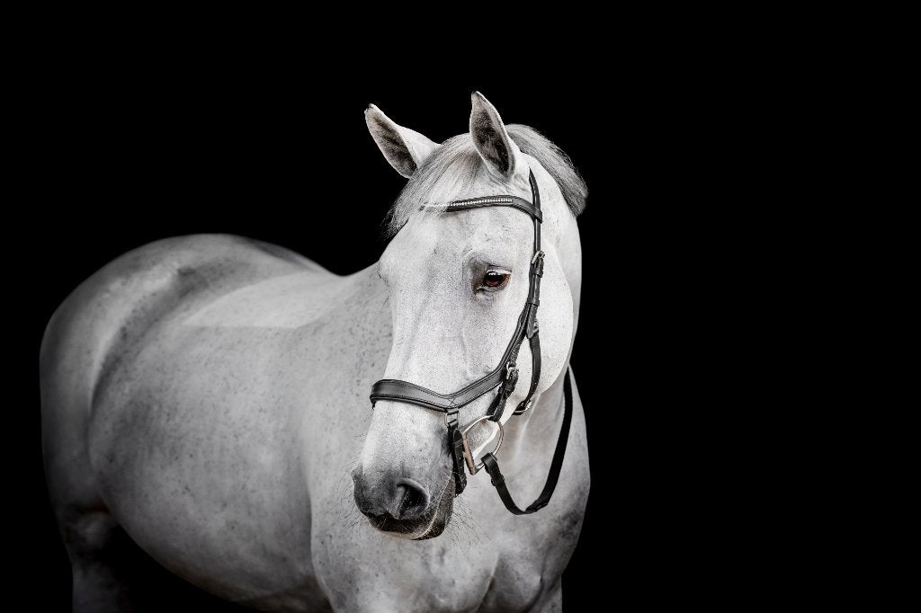 Horseware Micklem 2 Diamante, Pony, Cob, Full, X-Full, Hoofdstel, Nieuw, Ophalen of Verzenden, Zwart