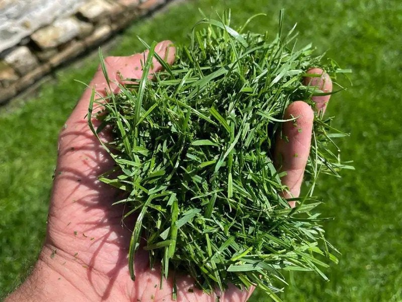 gezocht vers gemaaid gras, Ophalen, Nieuw, Minder dan 10 m²